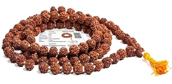 5 mukhi rudraksha