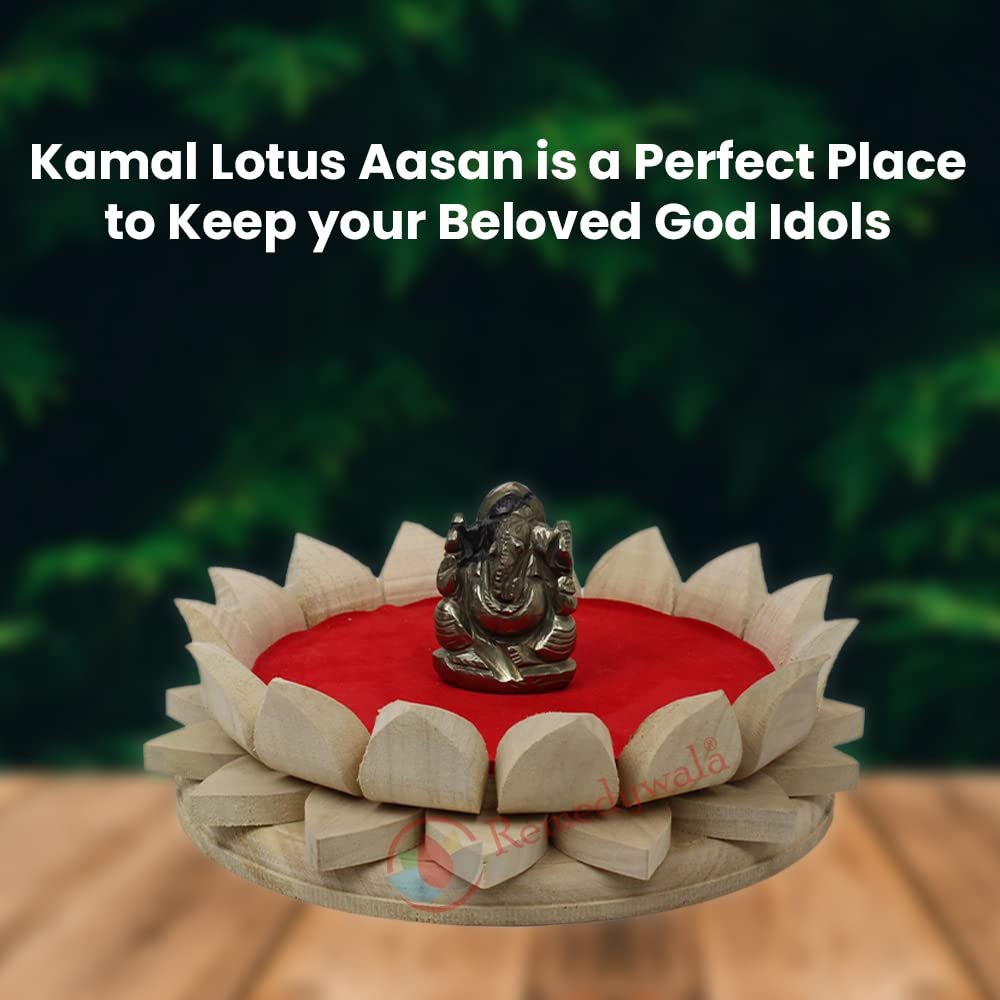 lotus kamal asan